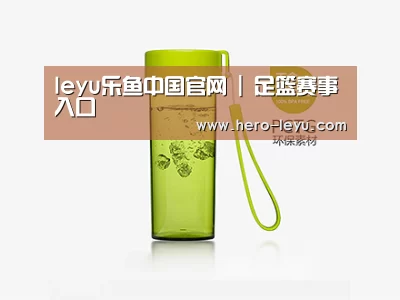 产品展示标题三