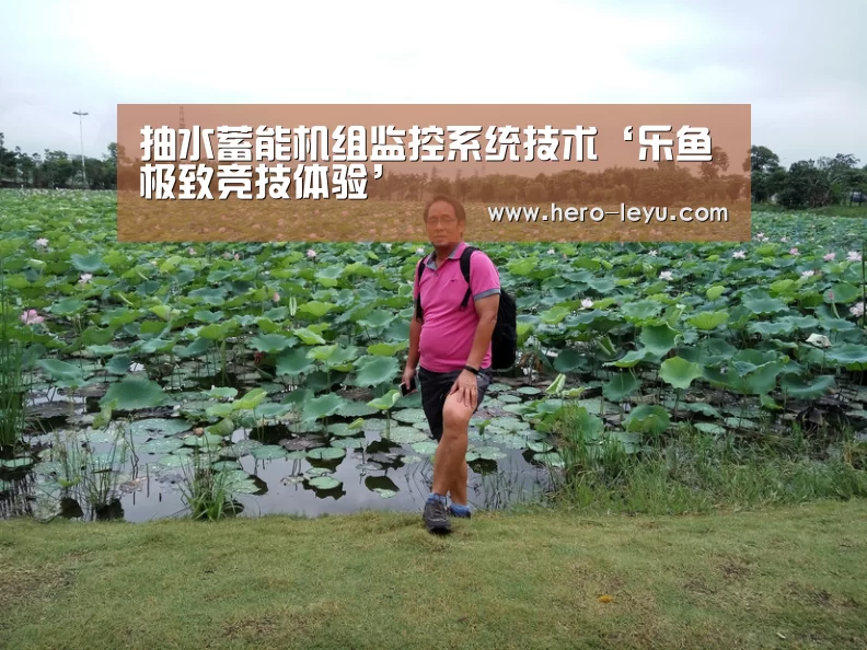 抽水蓄能机组监控系统技术‘乐鱼极致竞技体验’(图2) 乐鱼体育App下载