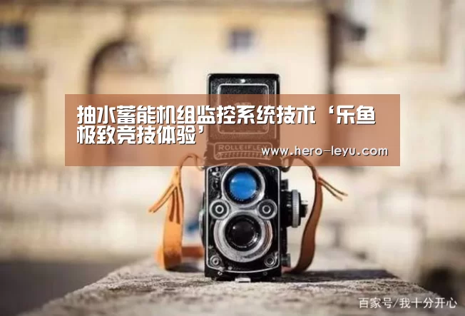 抽水蓄能机组监控系统技术‘乐鱼极致竞技体验’(图4) 乐鱼极致竞技体验