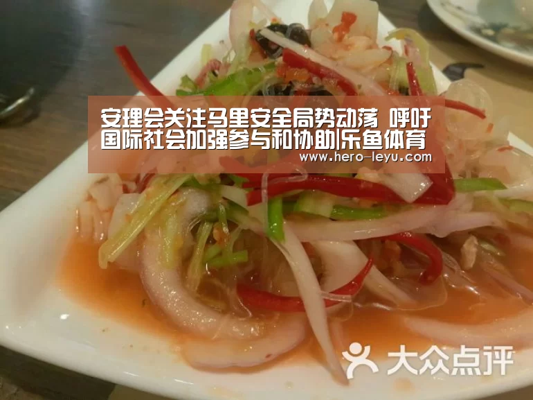 安理会关注马里安全局势动荡 呼吁国际社会加强参与和协助|乐鱼体育App下载(图4) 乐鱼体育app在线