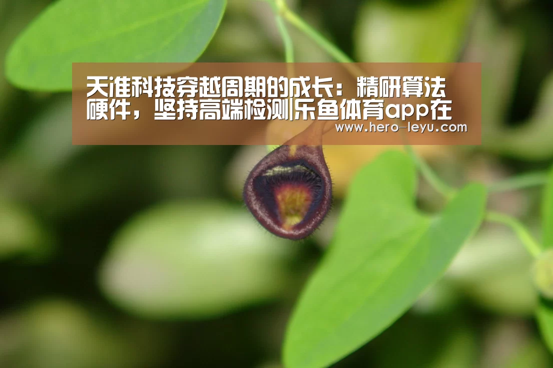 乐鱼官方网站地址