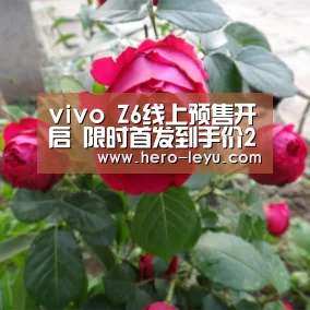 乐鱼体育App下载