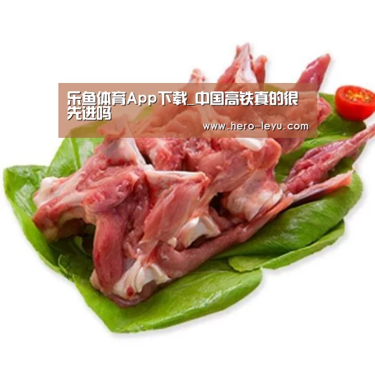 乐鱼体育App下载_中国高铁真的很先进吗(图3) 乐鱼体育App下载