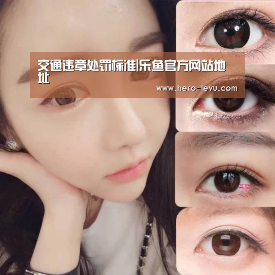 交通违章处罚标准|乐鱼官方网站地址(图2) 乐鱼极致竞技体验