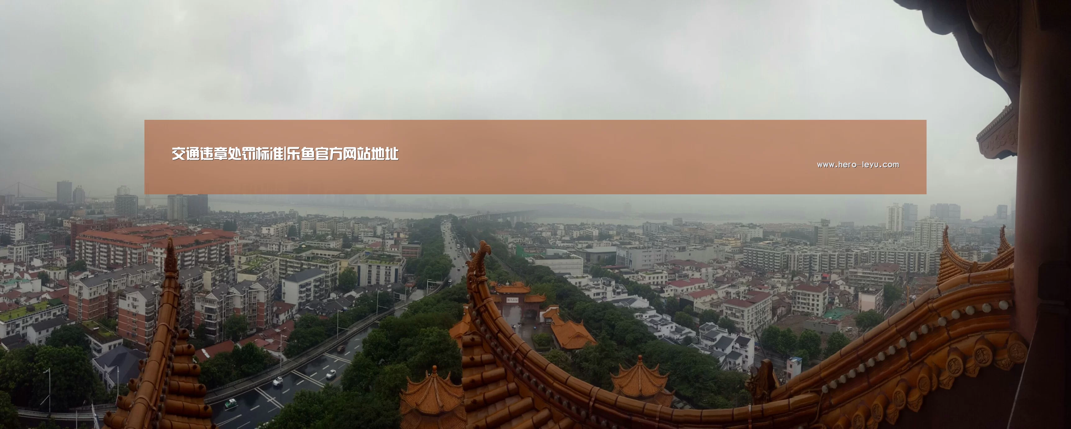 交通违章处罚标准|乐鱼官方网站地址(图4) 乐鱼官方网站地址