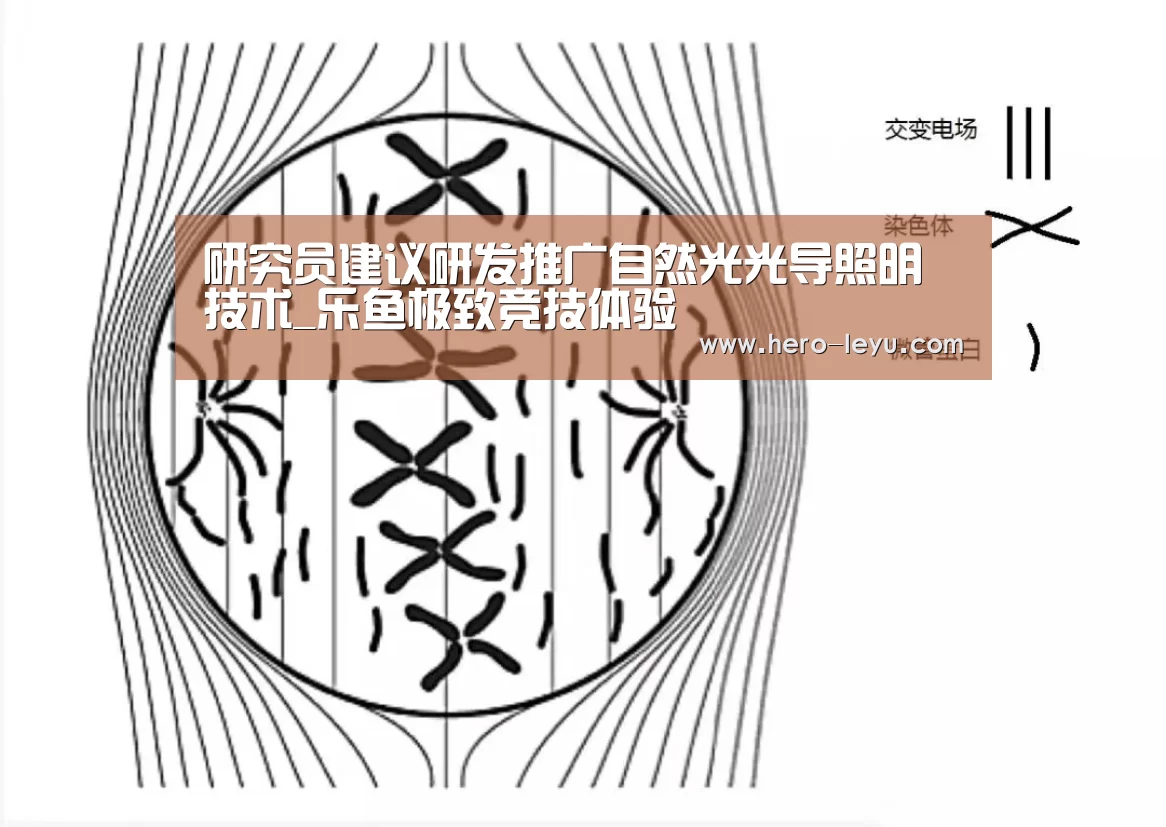 研究员建议研发推广自然光光导照明技术_乐鱼极致竞技体验(图3) 乐鱼极致竞技体验